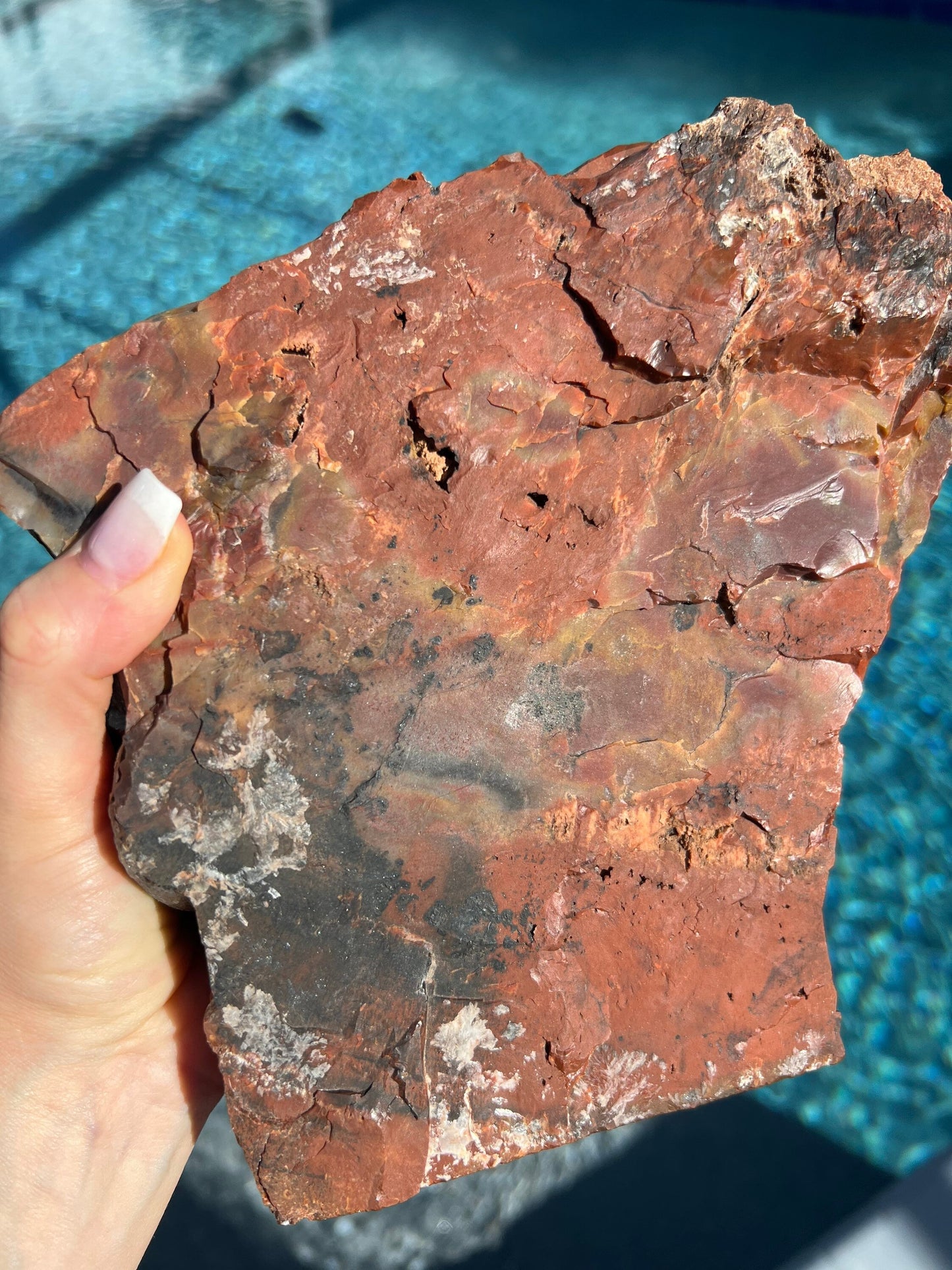 large Red petrified wood 8pounds 12oz. From Arizona freestanding