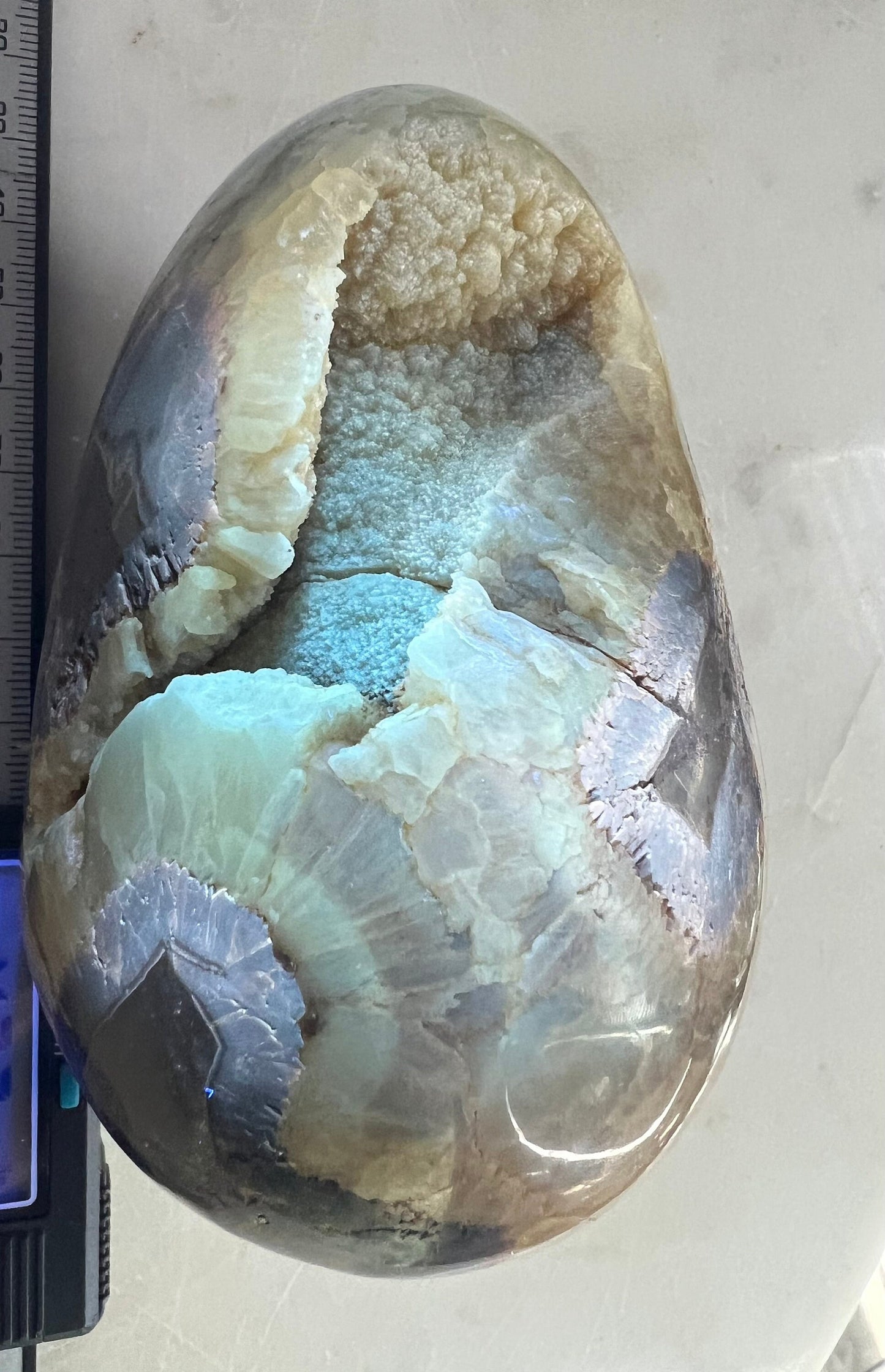 Septarian egg 1pound 12oz