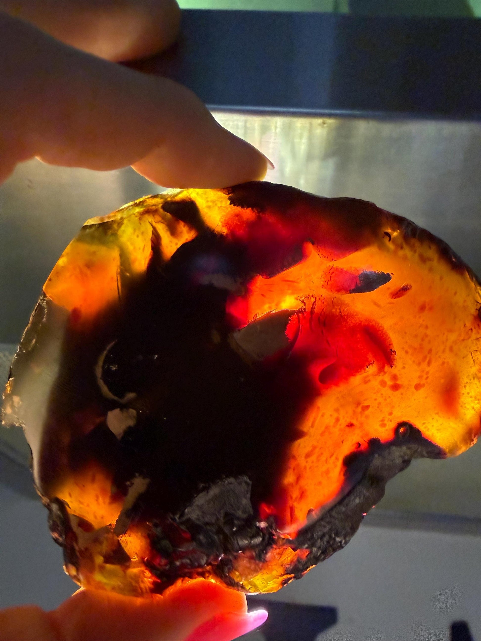 Sumatra Amber you get all 12 clusters total weight is 2pounds.