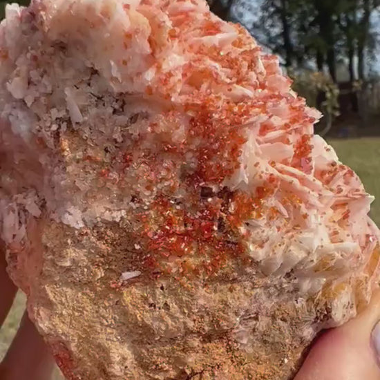 Vanadinite Crystal On Baryte 1lb 13oz from Morocco.