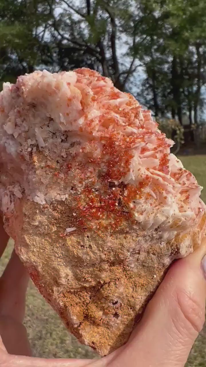 Vanadinite Crystal On Baryte 1lb 13oz from Morocco.