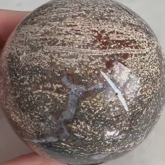 Petrified wood sphere from Madagascar. 12oz and 64mm