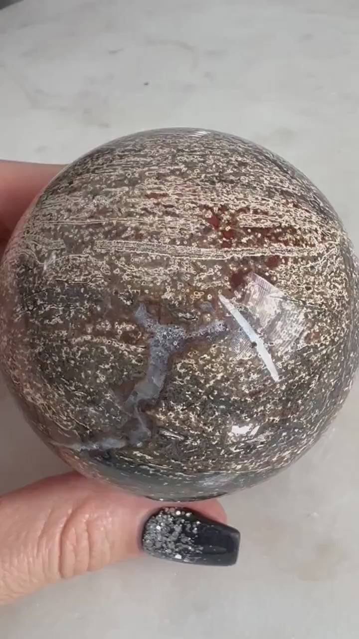 Petrified wood sphere from Madagascar. 12oz and 64mm