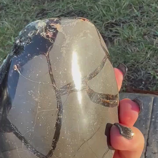 Septarian self stand. 1 pound 10oz.