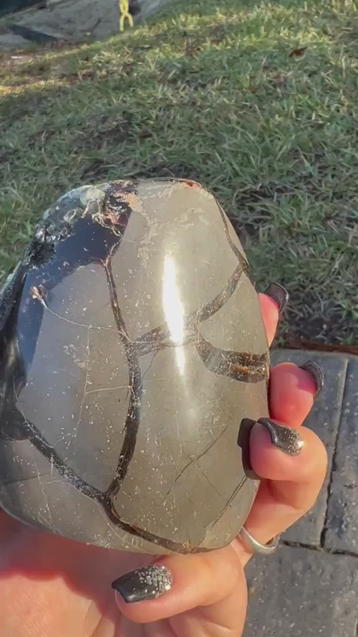 Septarian self stand. 1 pound 10oz.