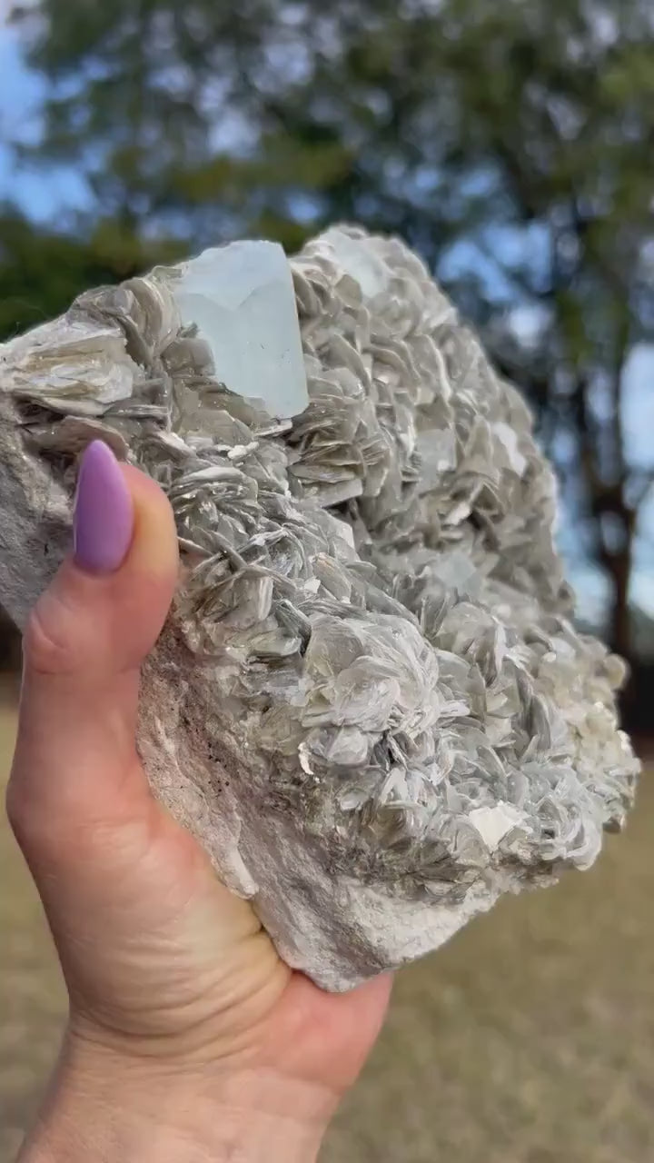 Aquamarine on muscovite matrix cluster 5 pounds