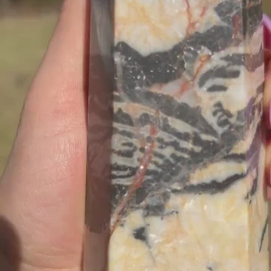 Zebra jasper crystal tower 1 pound 5oz