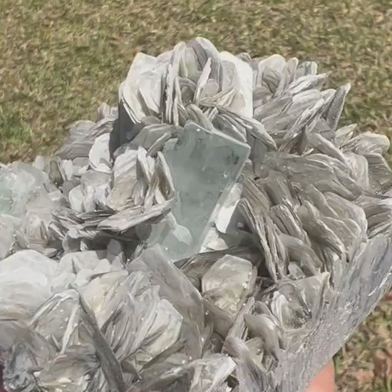 Aquamarine on muscovite cluster 1pound 1oz