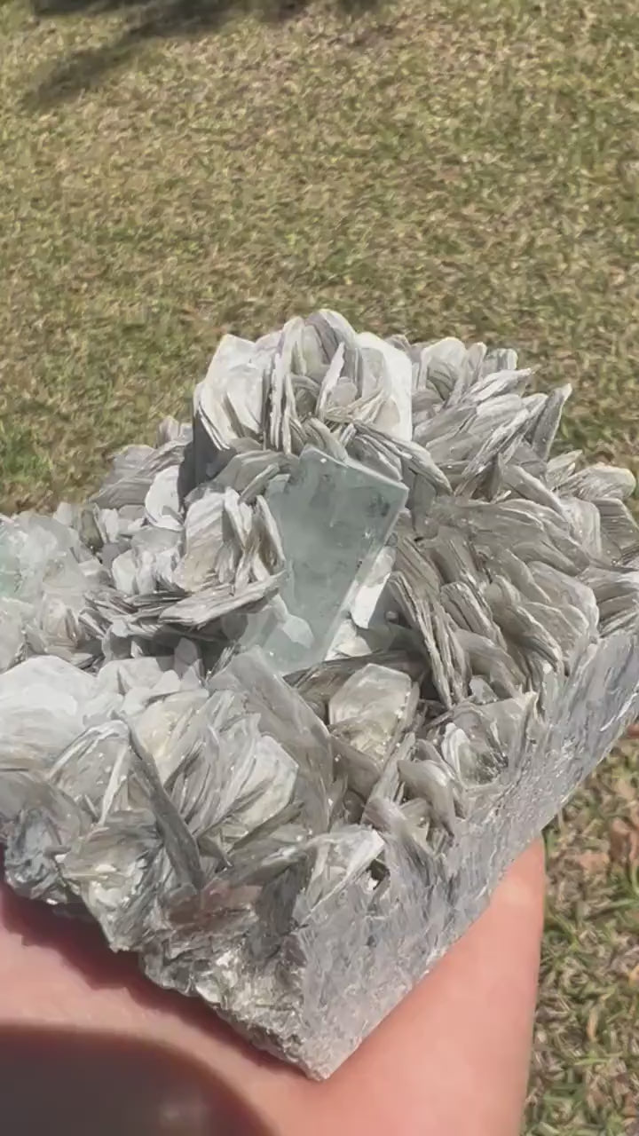 Aquamarine on muscovite cluster 1pound 1oz