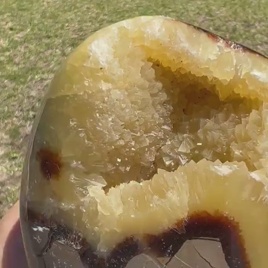 Septarian 1pound 9oz