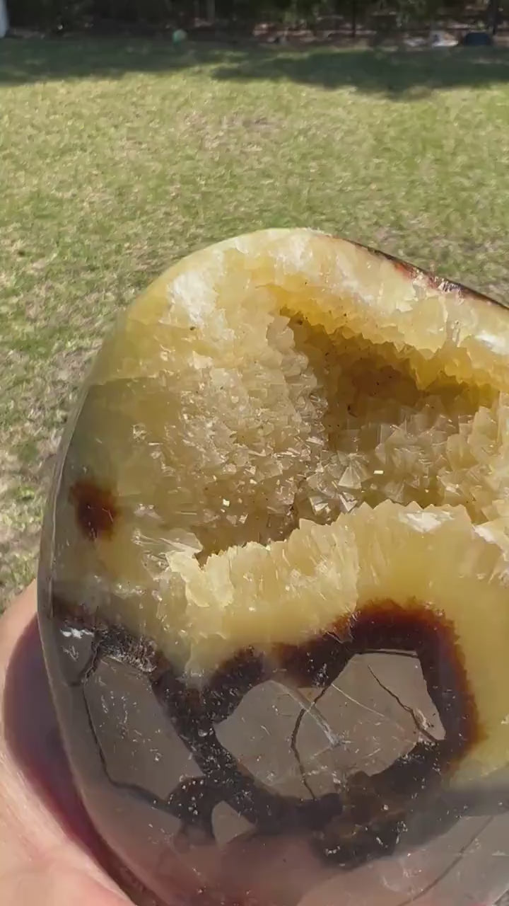 Septarian 1pound 9oz