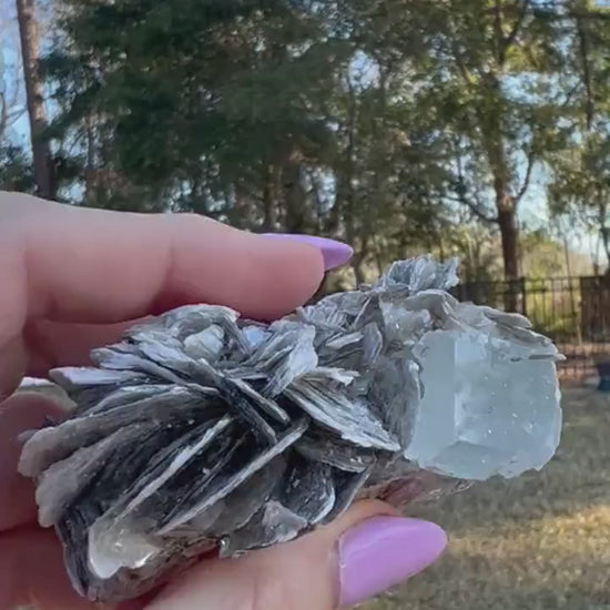 Aquamarine in Muscovite matrix cluster 136grams