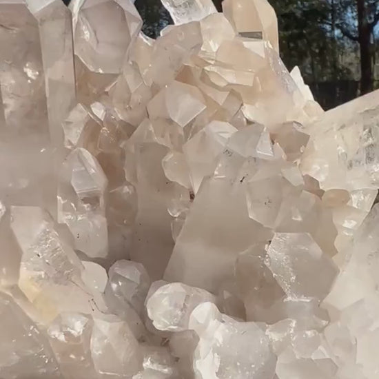 Clear Quartz crystal cluster 4 pounds 12oz