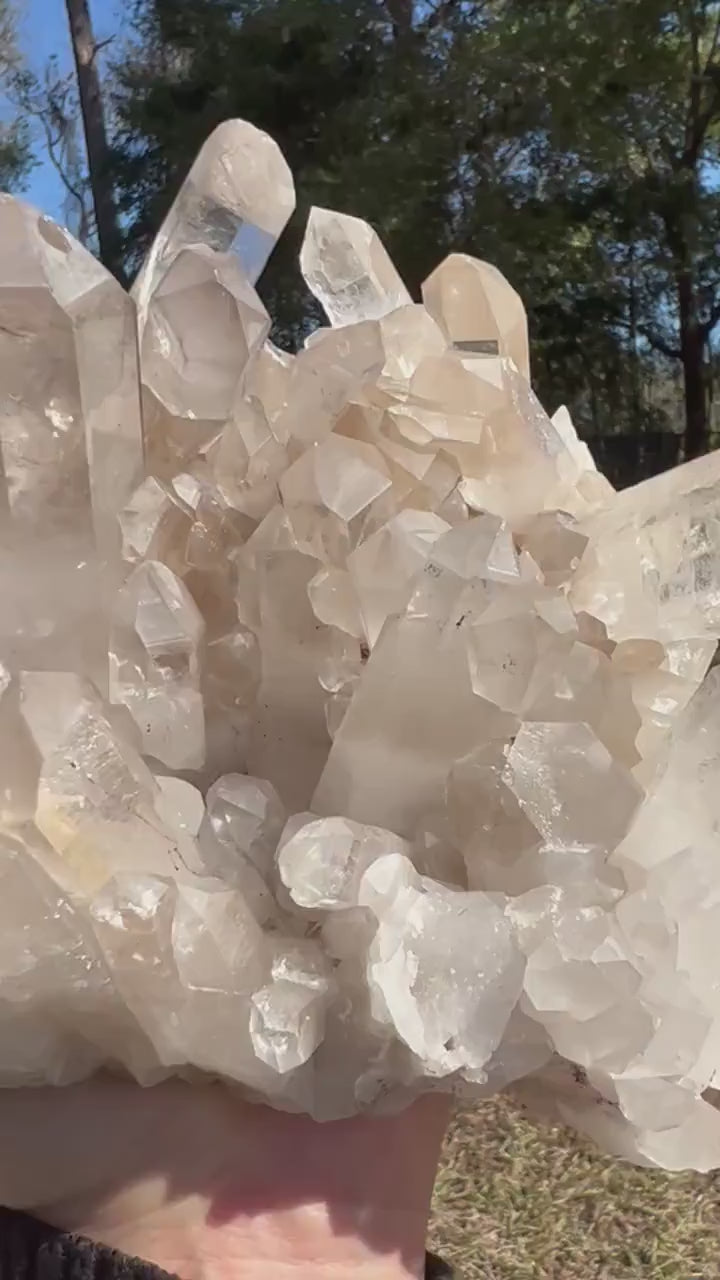 Clear Quartz crystal cluster 4 pounds 12oz