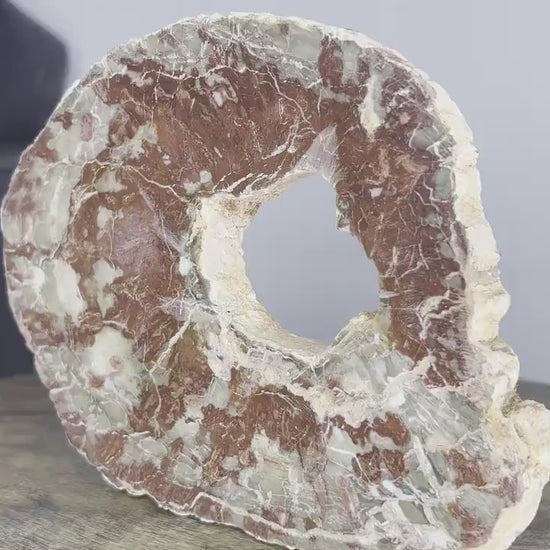 Petrified Wood 1lb 11oz from Madagascar with a happy little natural hole