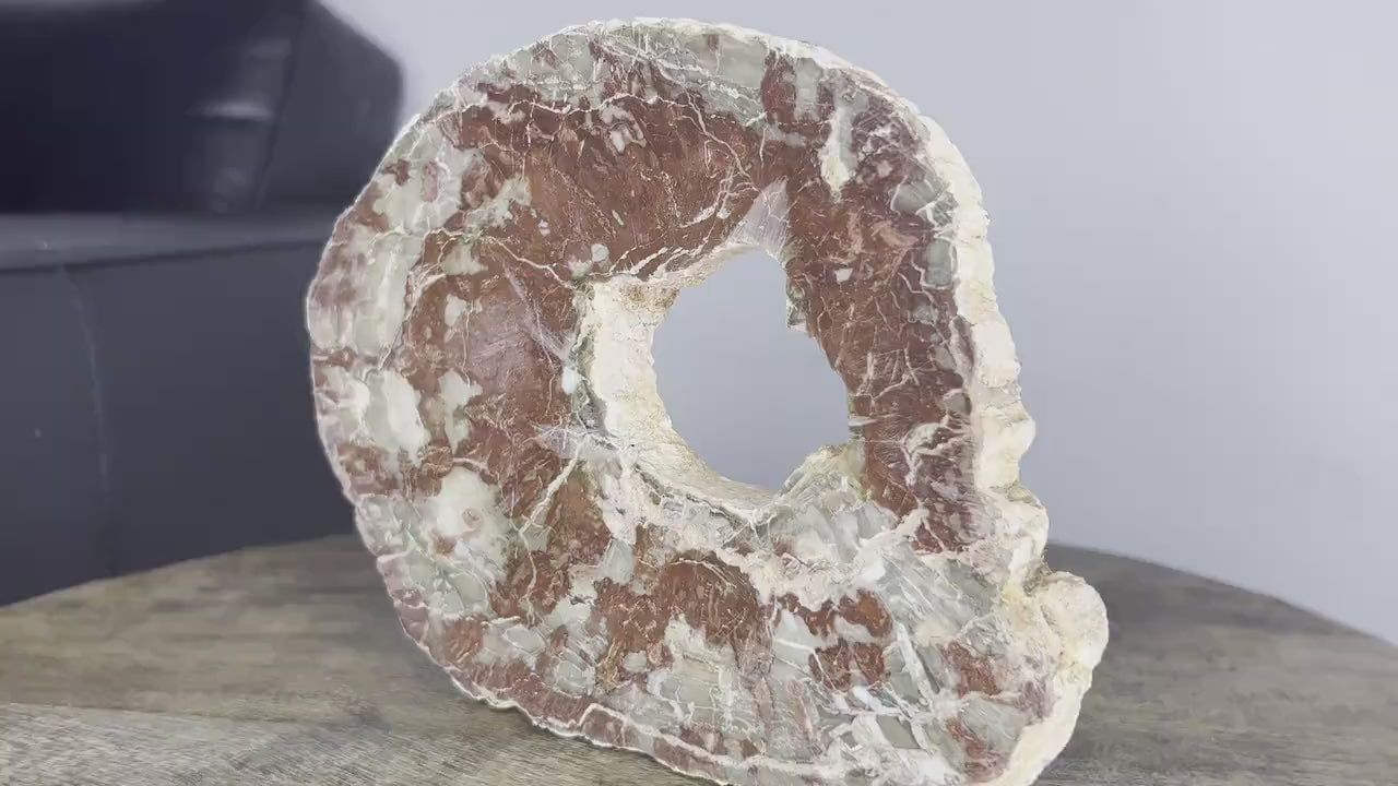 Petrified Wood 1lb 11oz from Madagascar with a happy little natural hole