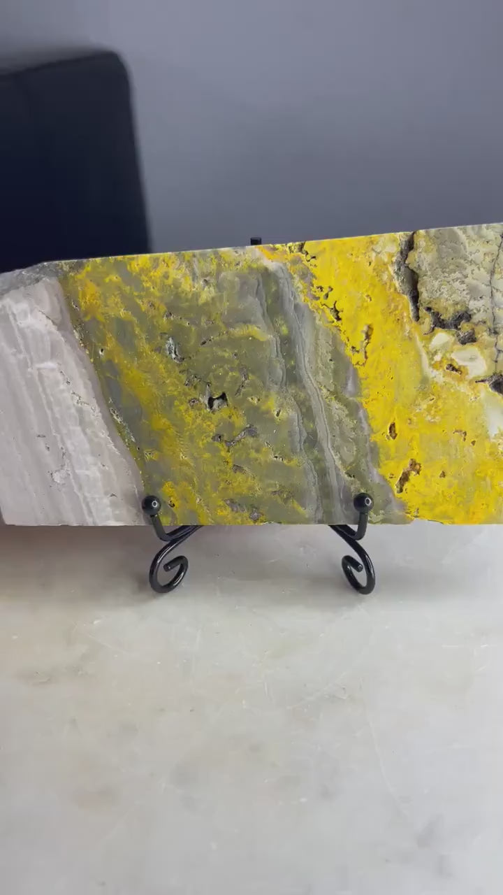 Bumblebee jasper slab 1pound 4oz