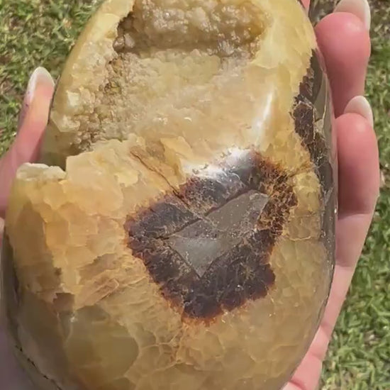 Septarian egg 1pound 12oz