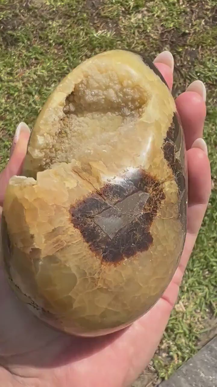 Septarian egg 1pound 12oz