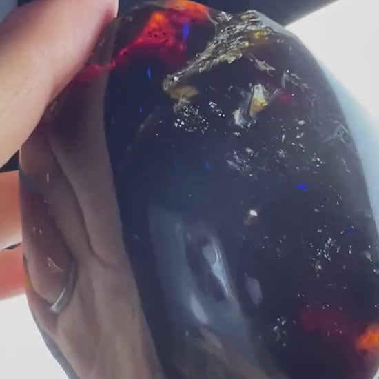 Natural Sumatran Blue Amber, freeform UV REACTIVE BLUE Half polished. 2 pieces total weight 160grams