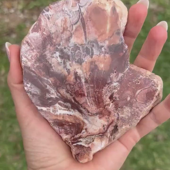 Petrified wood 334grams