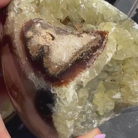 Septarian sphere and half raw cluster. 1 pound 13oz