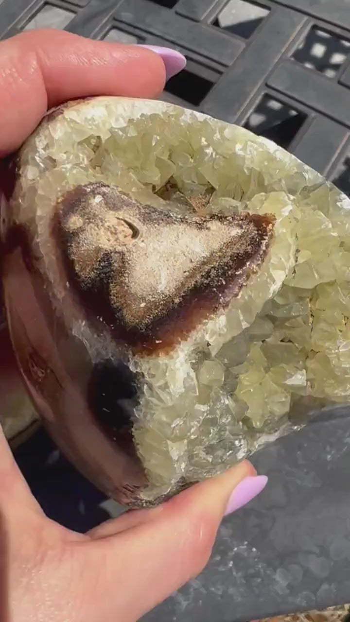 Septarian sphere and half raw cluster. 1 pound 13oz