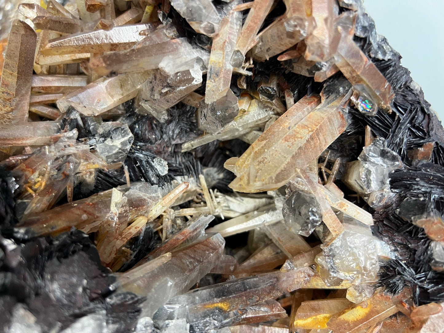 Large MASSIVE Extremely Rare (Guangdong Mine) Yellowish/Red Iron QUARTZ Crystals w/Hematite/Specularite Rosettes 15.37lbs