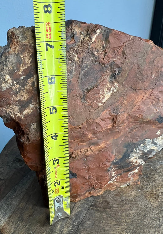 large Red petrified wood 8pounds 12oz. From Arizona freestanding