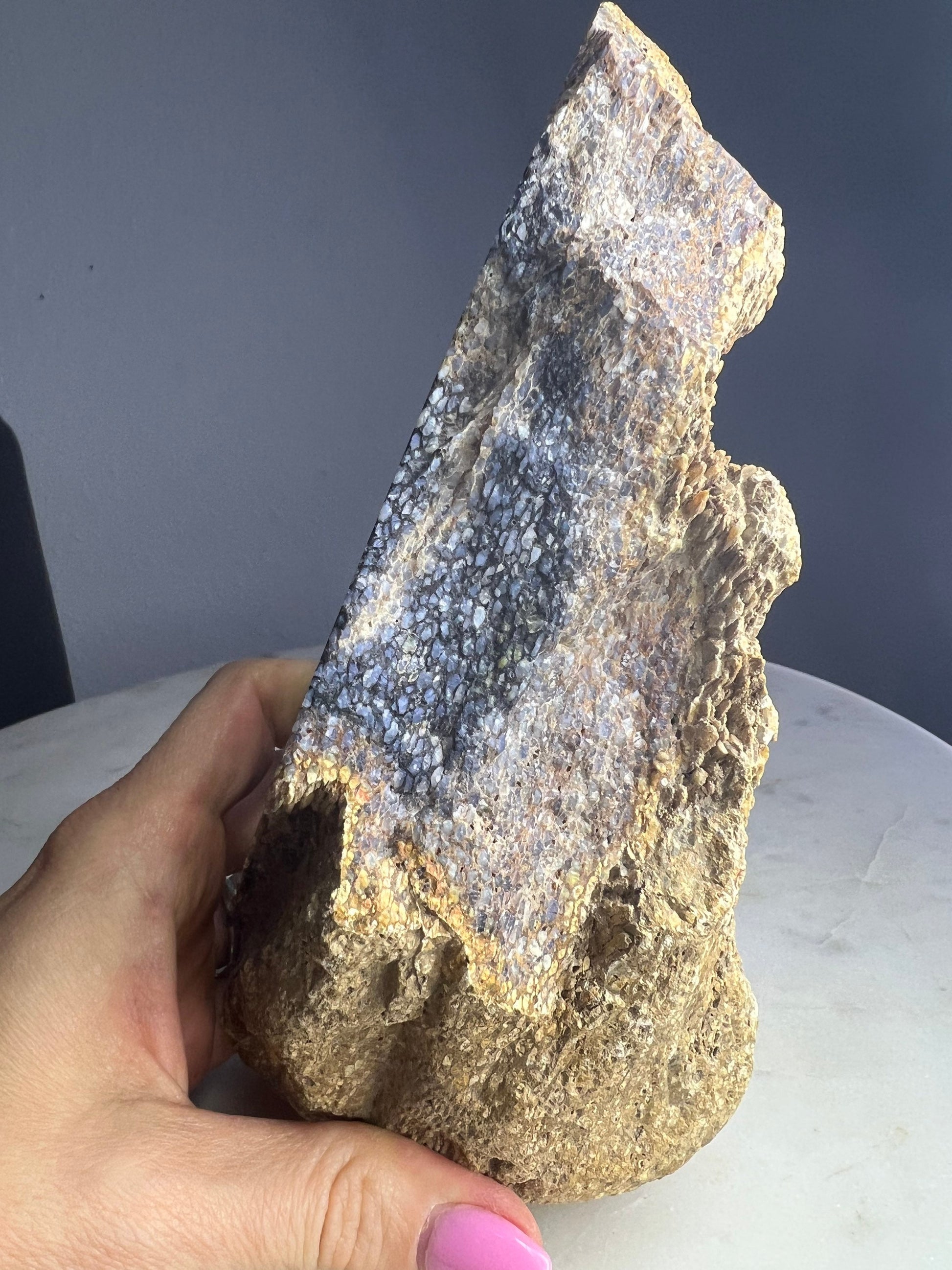 Petrified palm slab 2 pounds 10oz from Indonesia