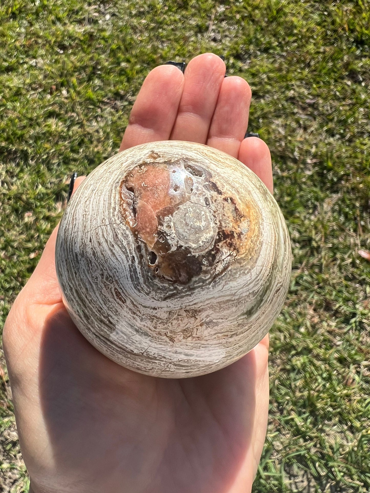 Petrified wood sphere 11oz and 64mm from Madagascar