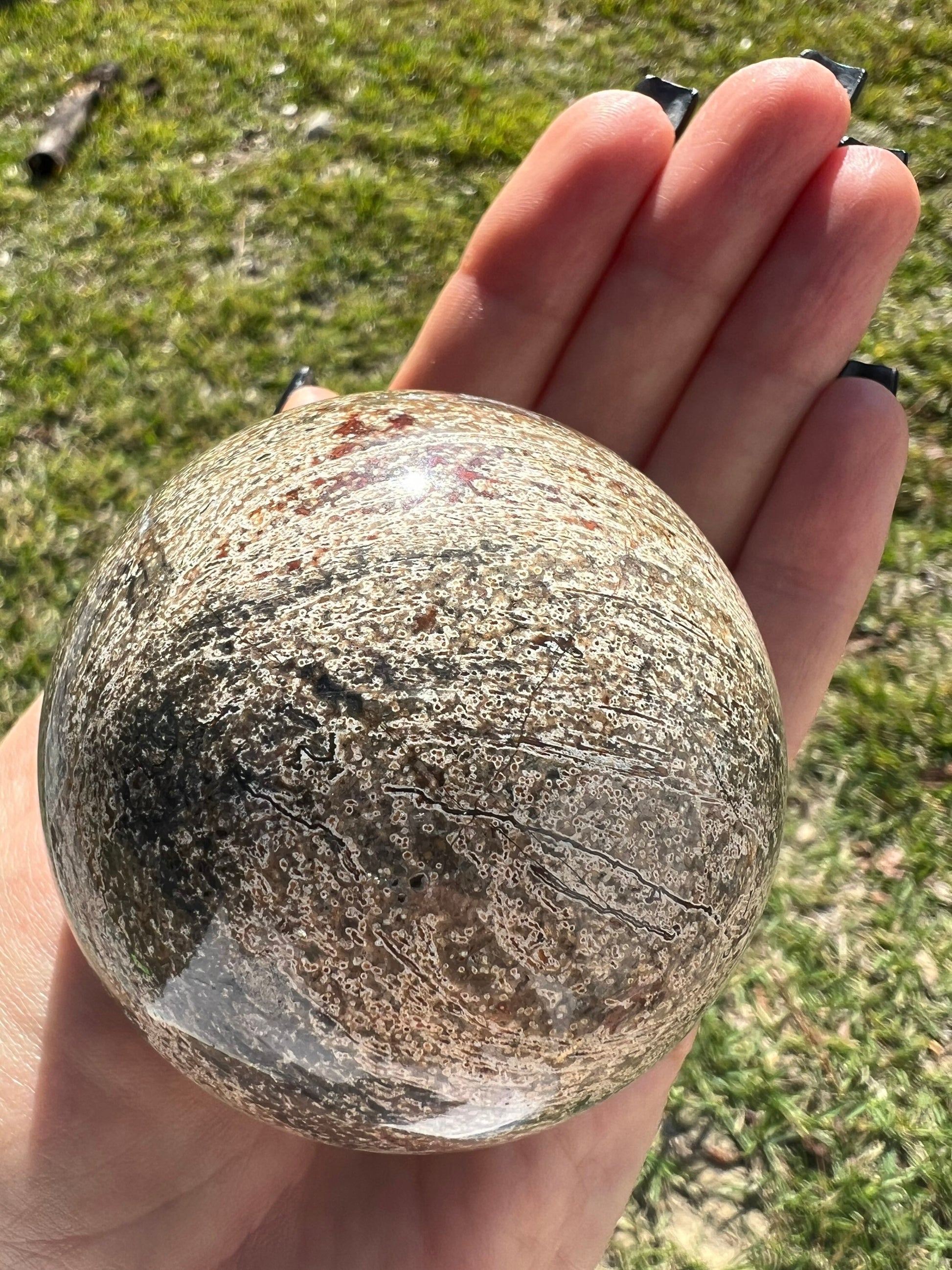 Petrified wood sphere from Madagascar. 12oz and 64mm