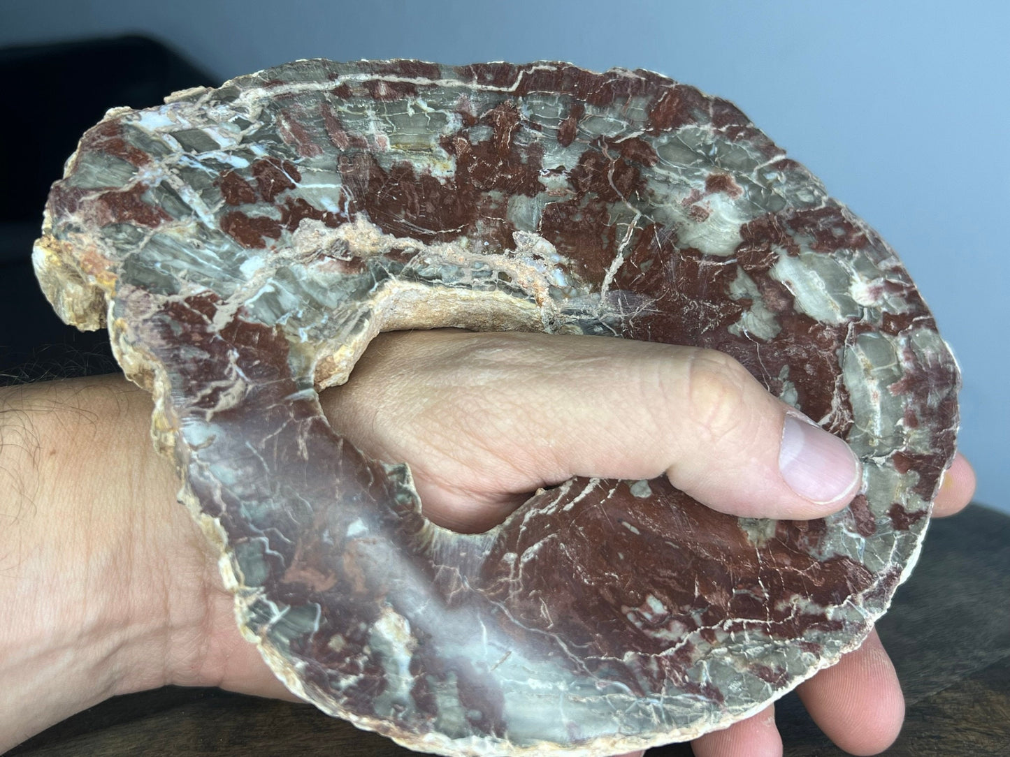 Petrified Wood 1lb 11oz from Madagascar with a happy little natural hole