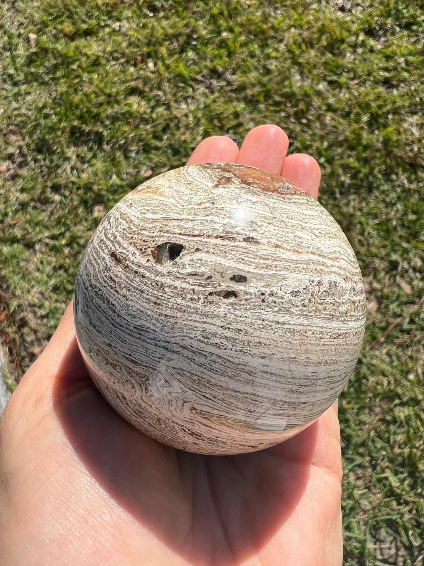 Petrified wood sphere 11oz and 64mm from Madagascar