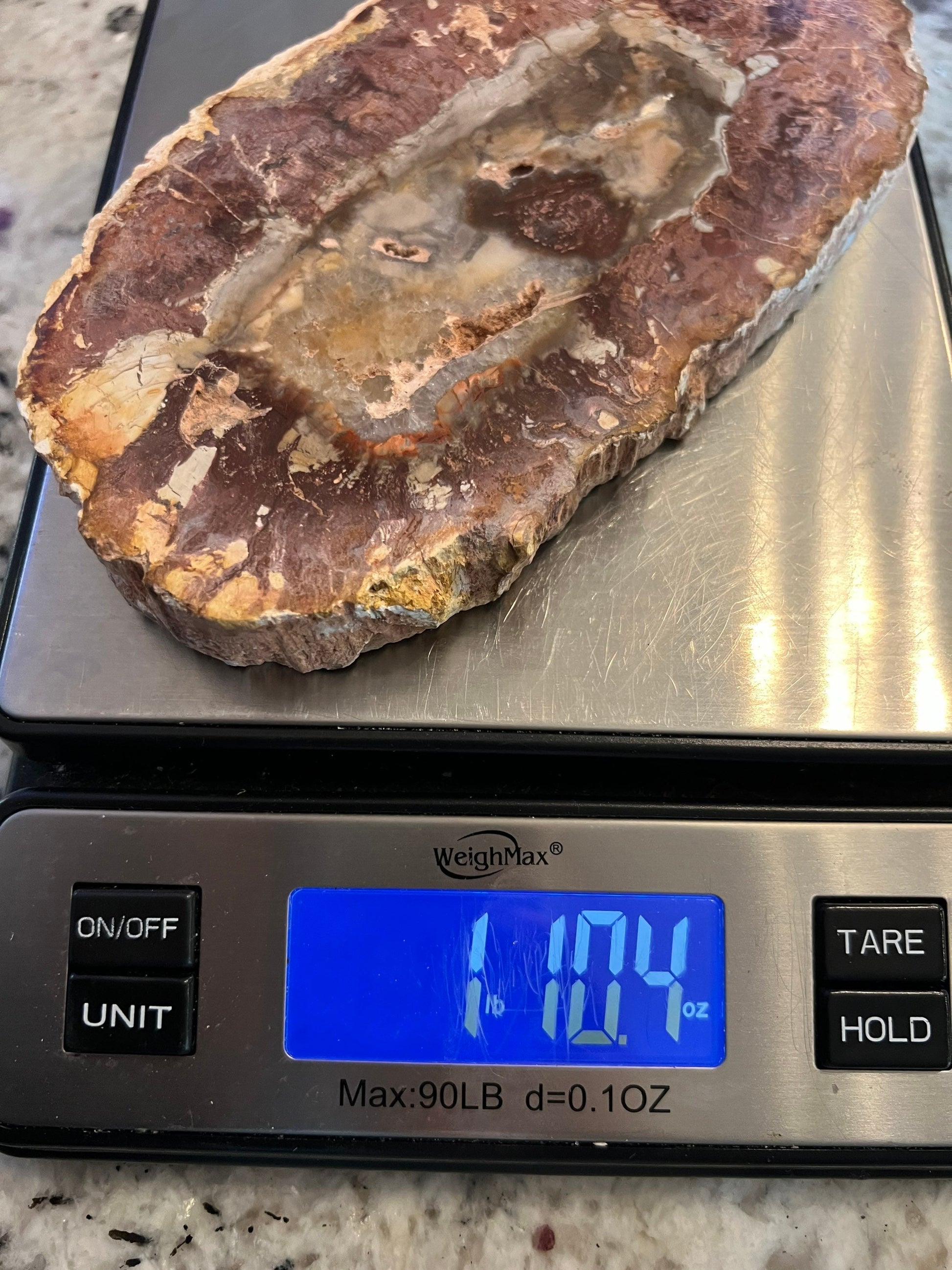 Petrified wood slab 1 pound 10oz from Madagascar. 7 inches long