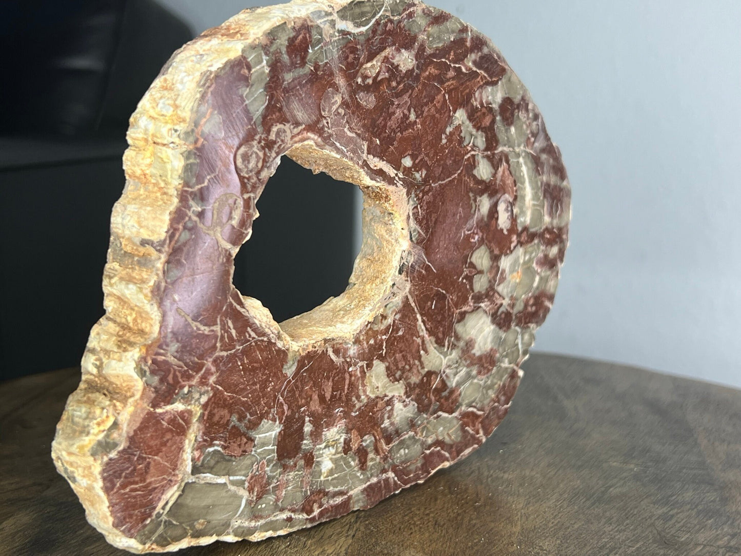 Petrified Wood 1lb 11oz from Madagascar with a happy little natural hole