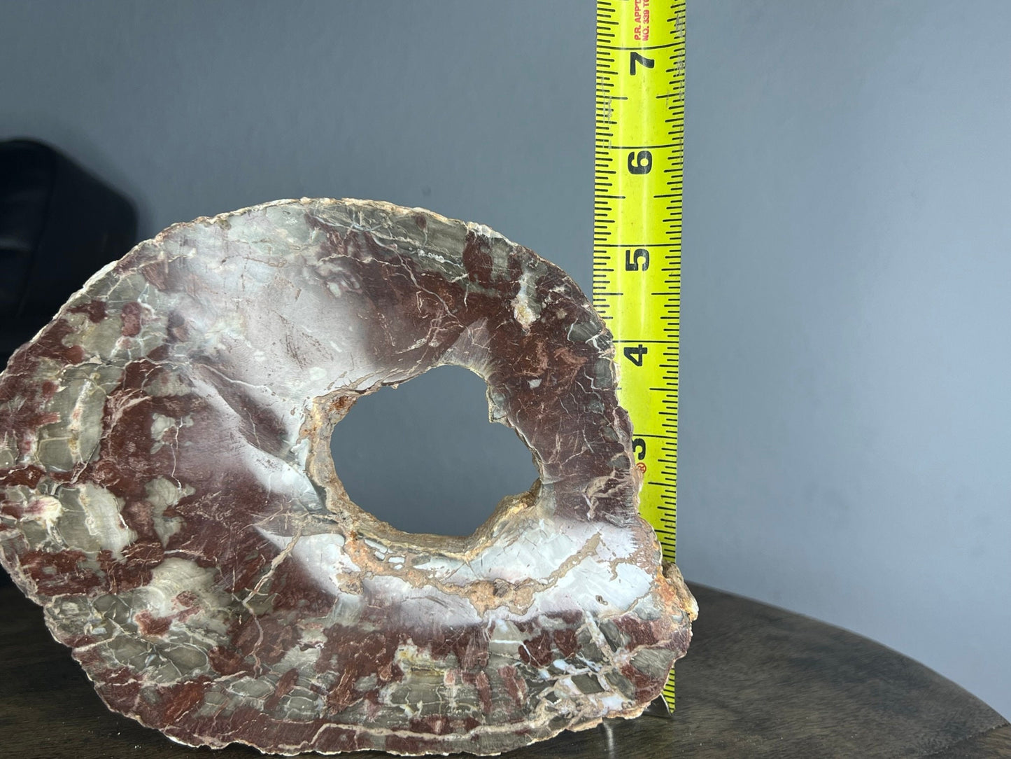 Petrified Wood 1lb 11oz from Madagascar with a happy little natural hole