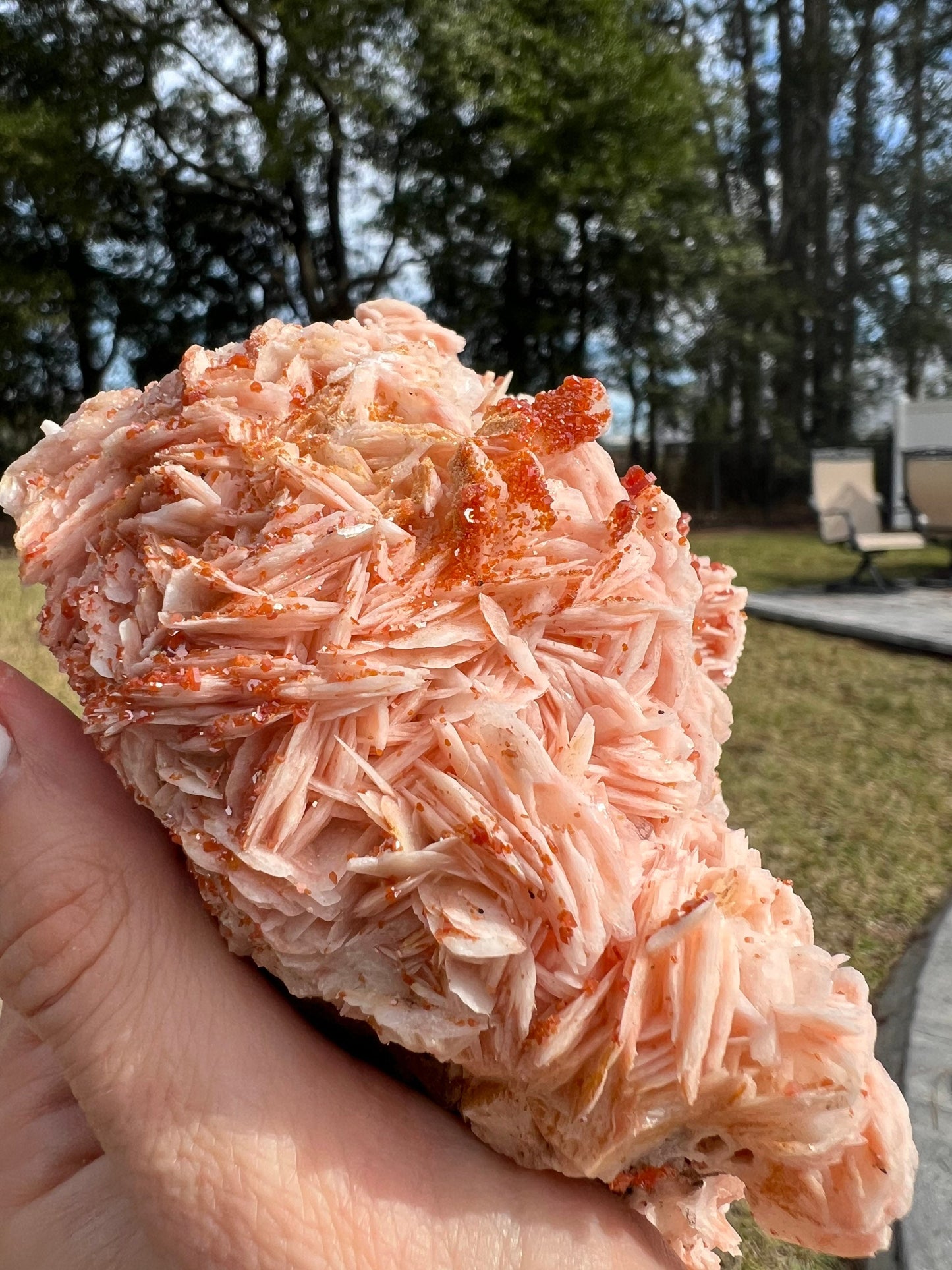 Vanadinite Crystal On Baryte 1lb 13oz from Morocco.