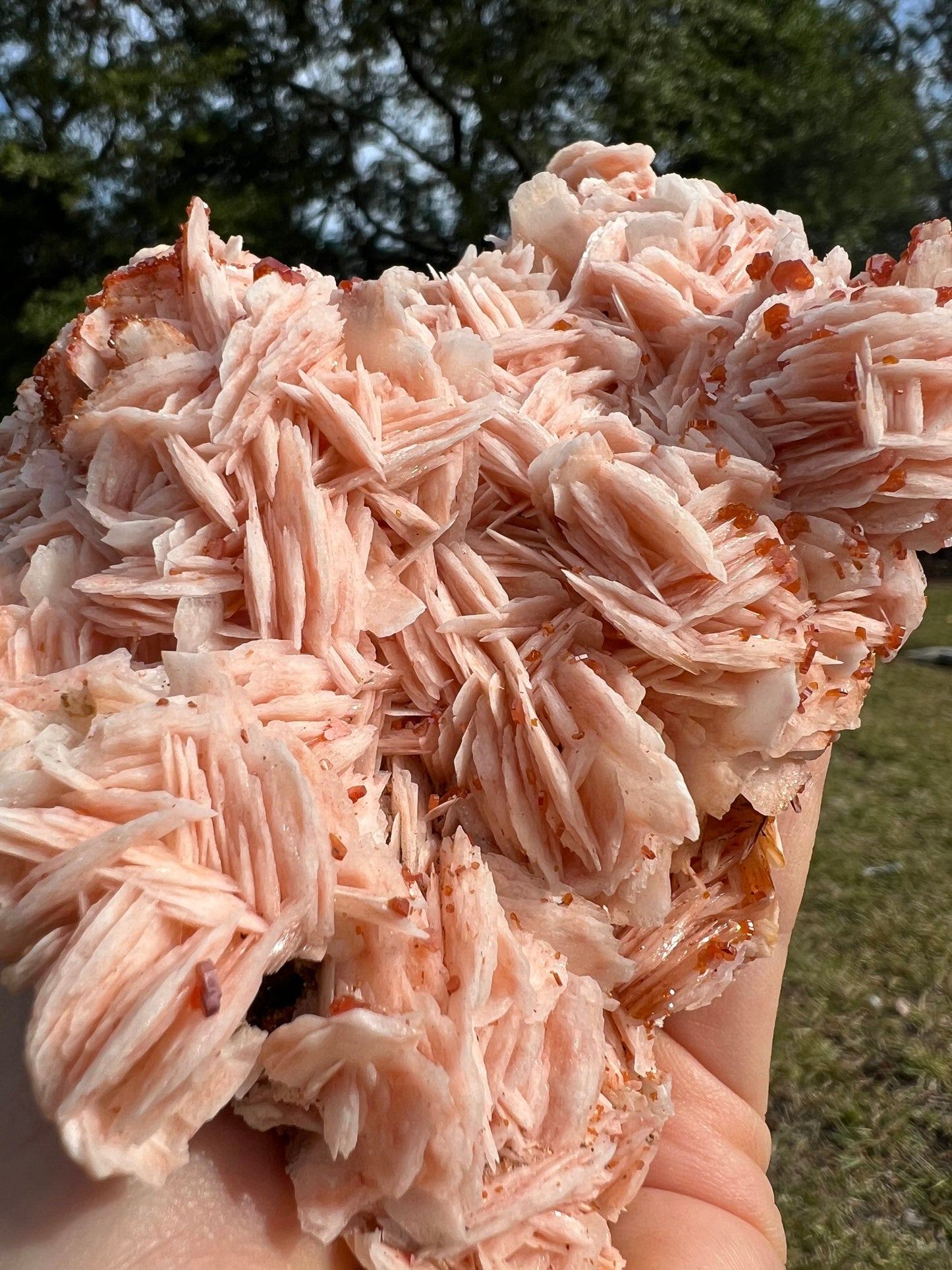Vanadinite Crystal On Baryte 1lb 13oz from Morocco.