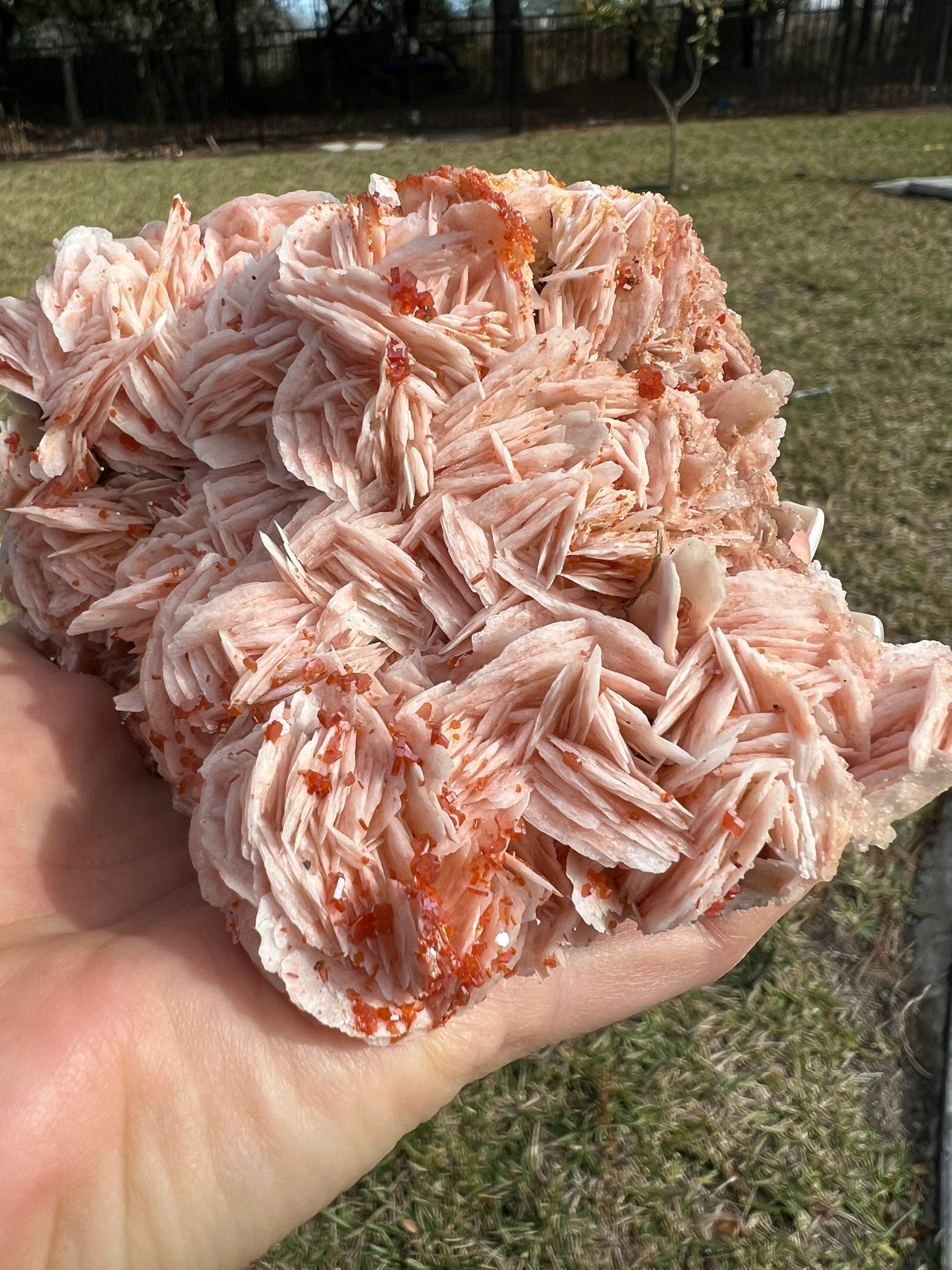 Vanadinite Crystal On Baryte 1lb 13oz from Morocco.