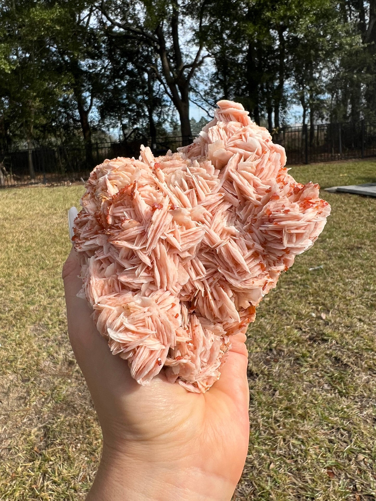 Vanadinite Crystal On Baryte 1lb 13oz from Morocco.