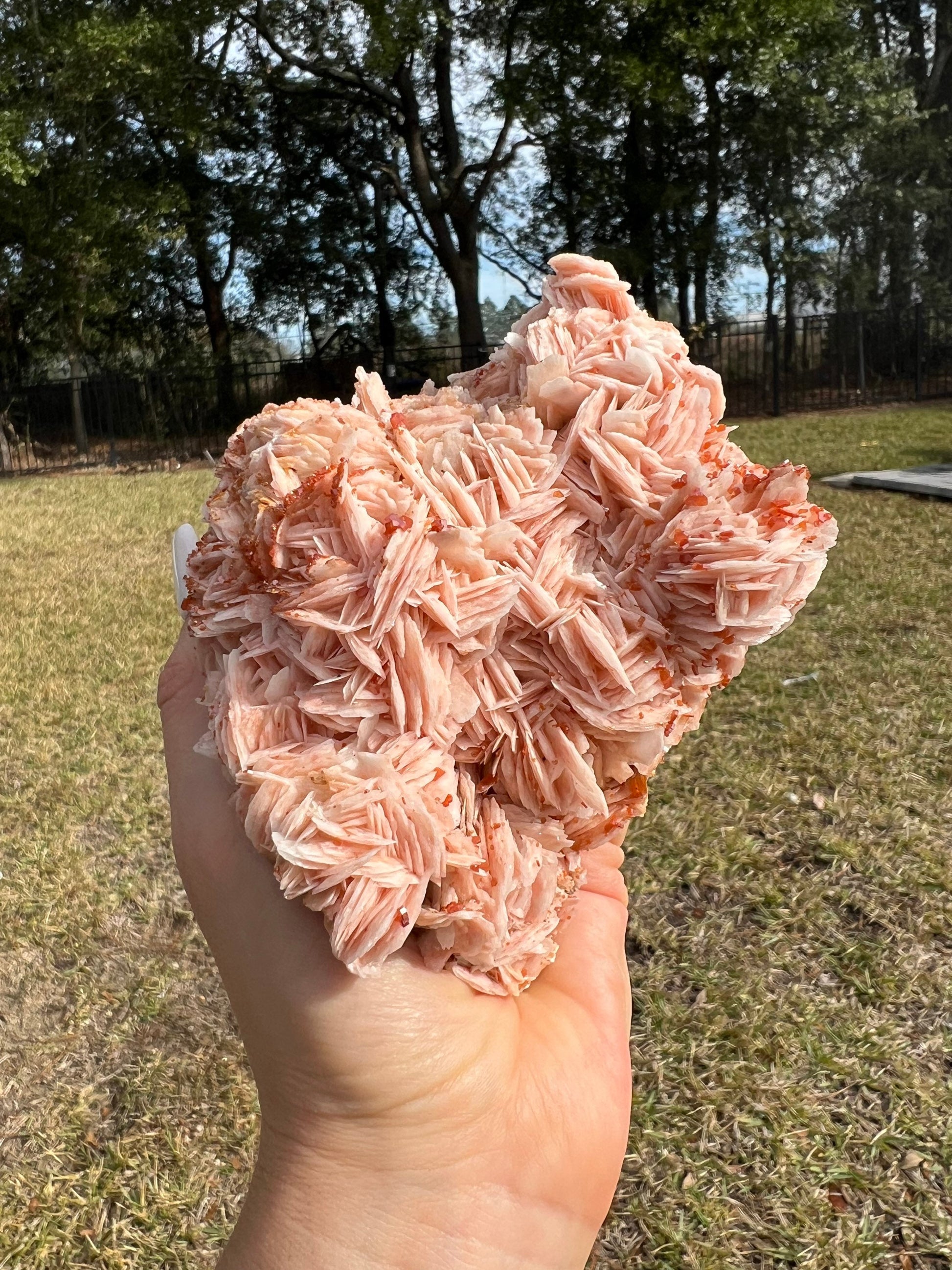 Vanadinite Crystal On Baryte 1lb 13oz from Morocco.