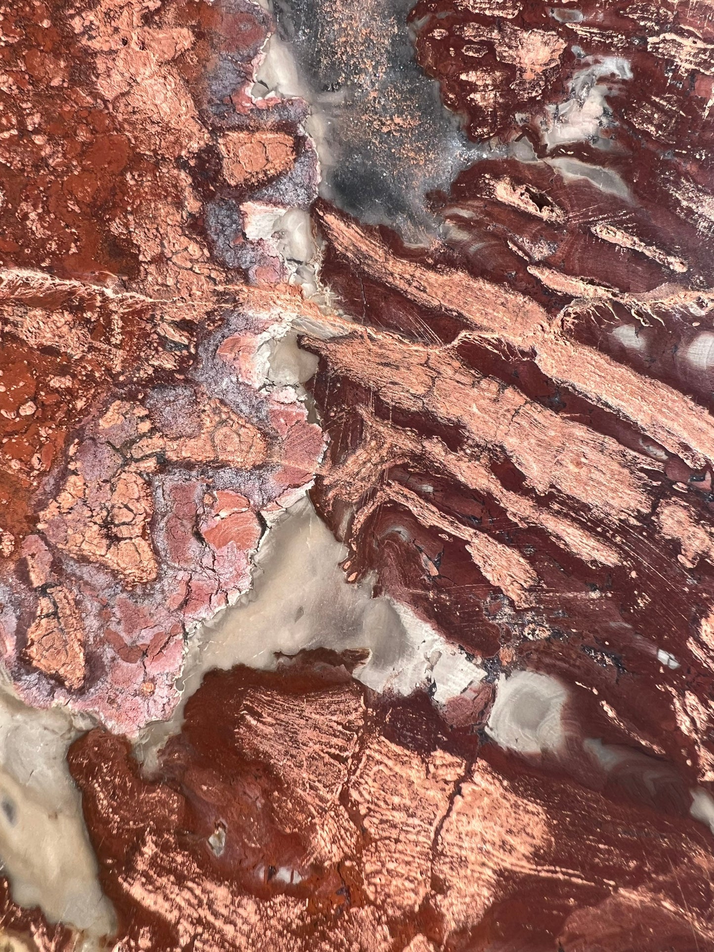 Petrified wood slab 1 pound 12oz