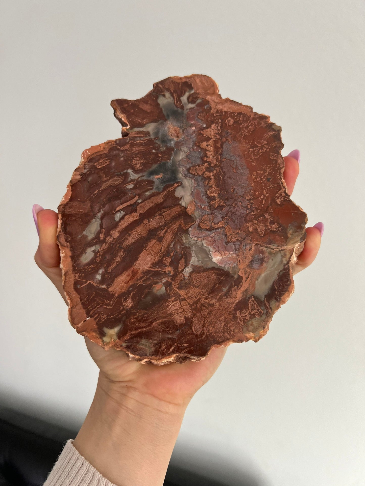 Petrified wood slab 1 pound 12oz