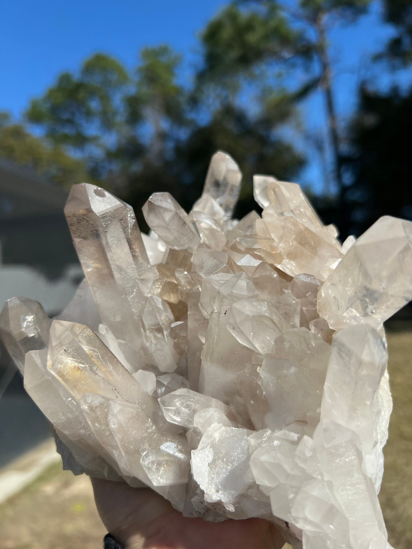 Clear Quartz crystal cluster 4 pounds 12oz