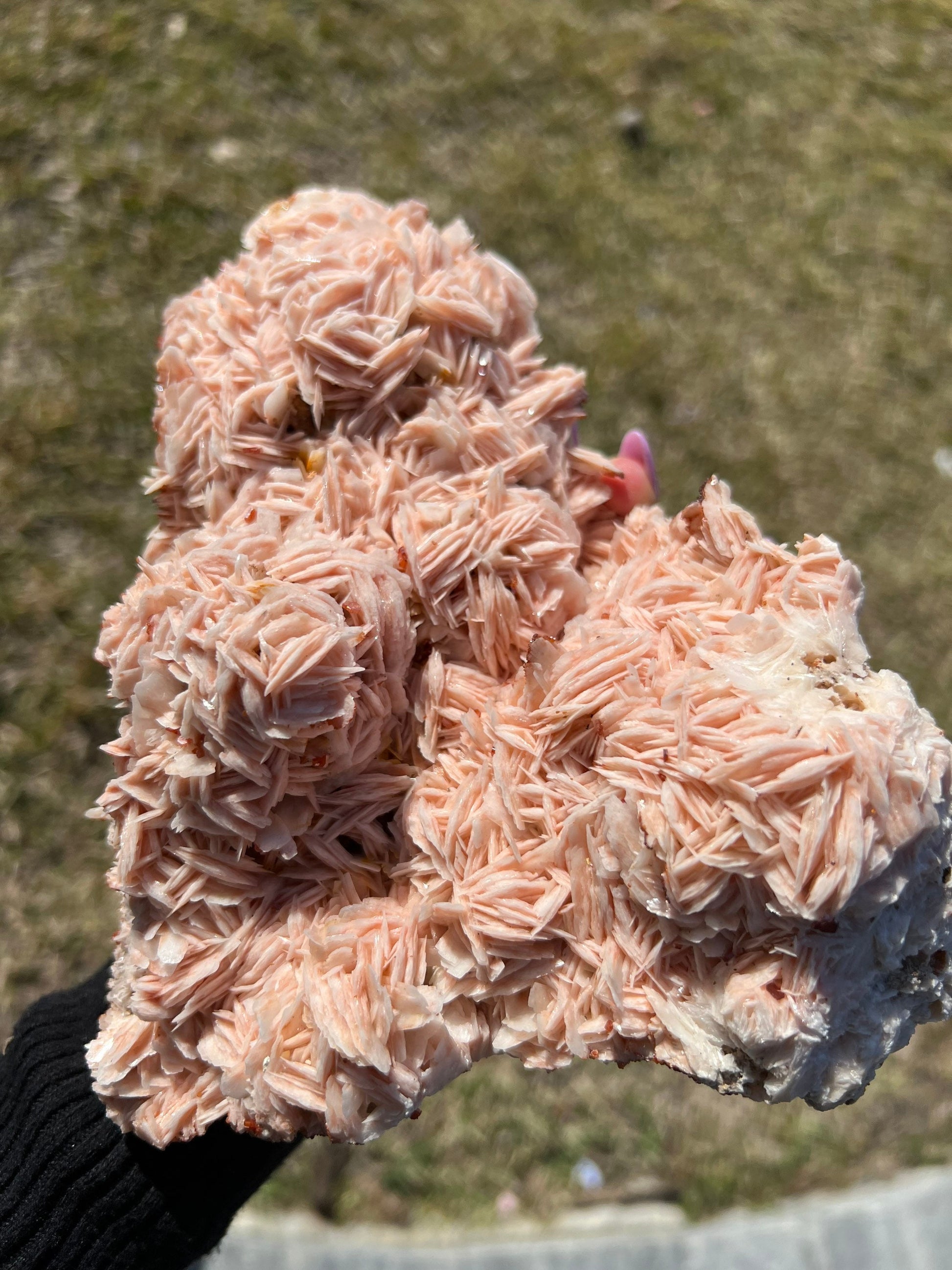 Vanadinite crystals on Baryte 5 pounds 14oz cluster.