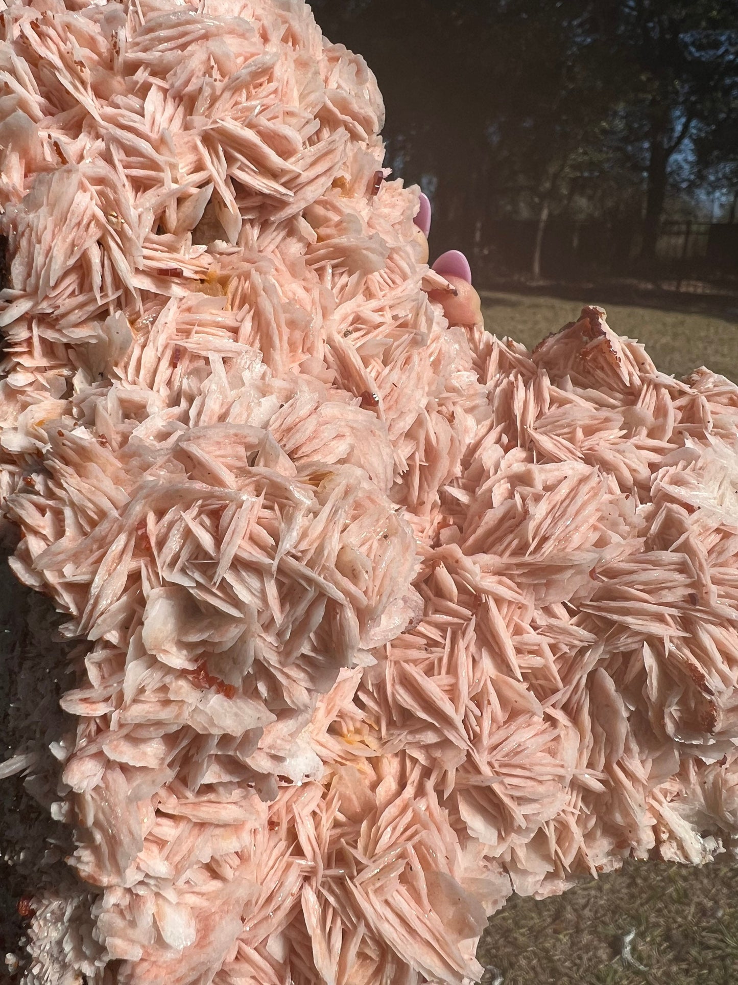 Vanadinite crystals on Baryte 5 pounds 14oz cluster.