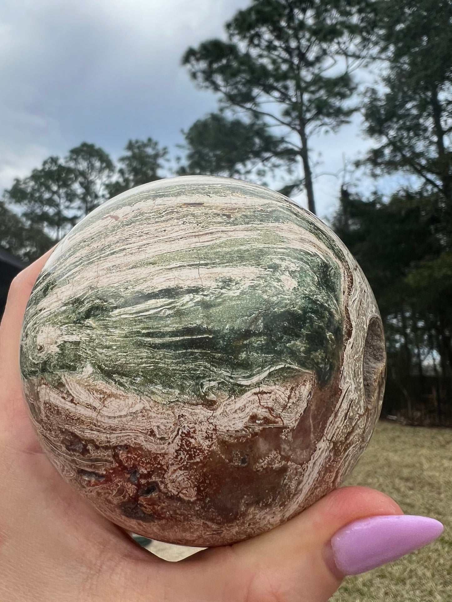 Petrified wood sphere 1lb 11oz 85mm