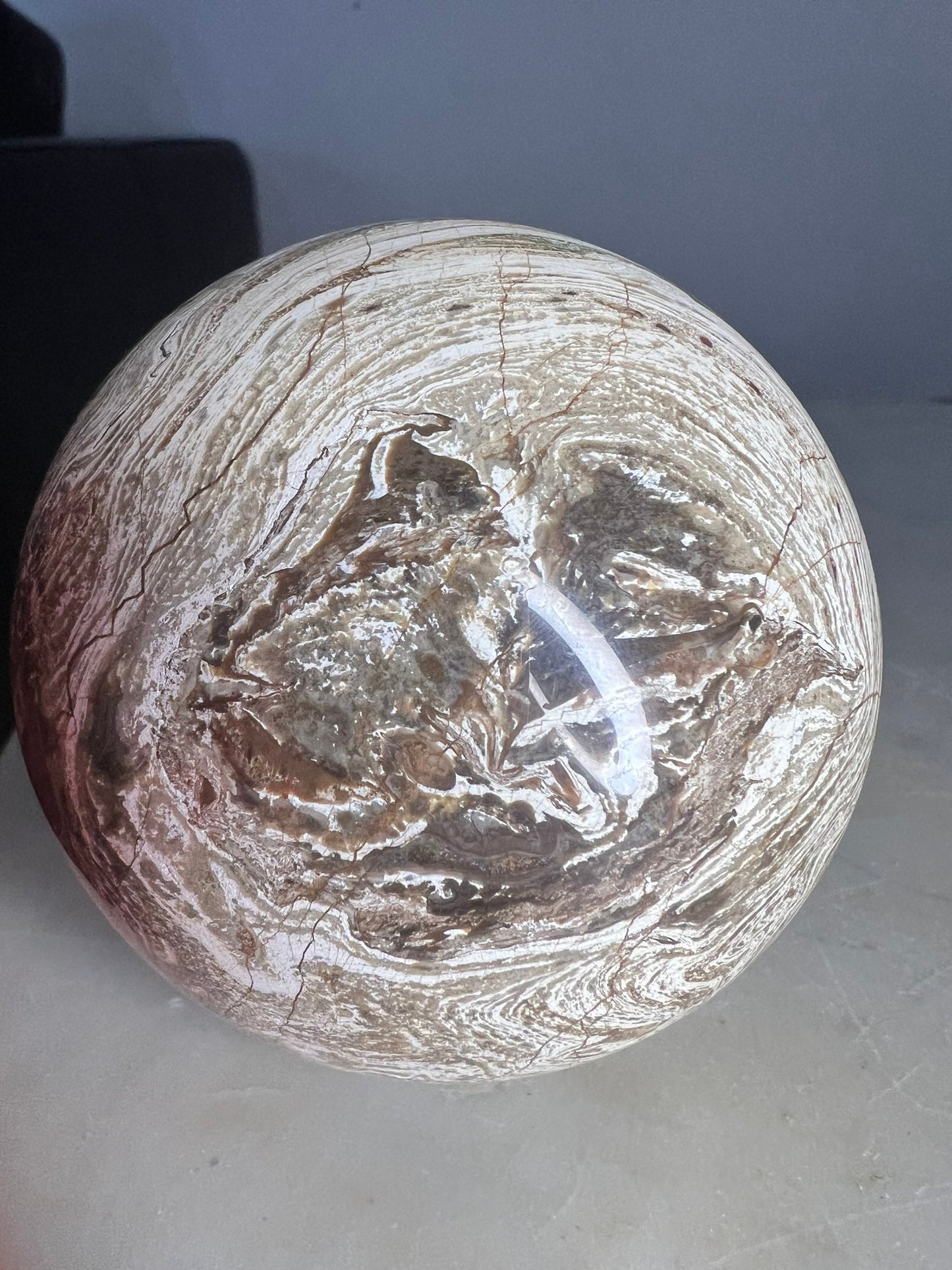 Petrified wood sphere 1lb 11oz 85mm