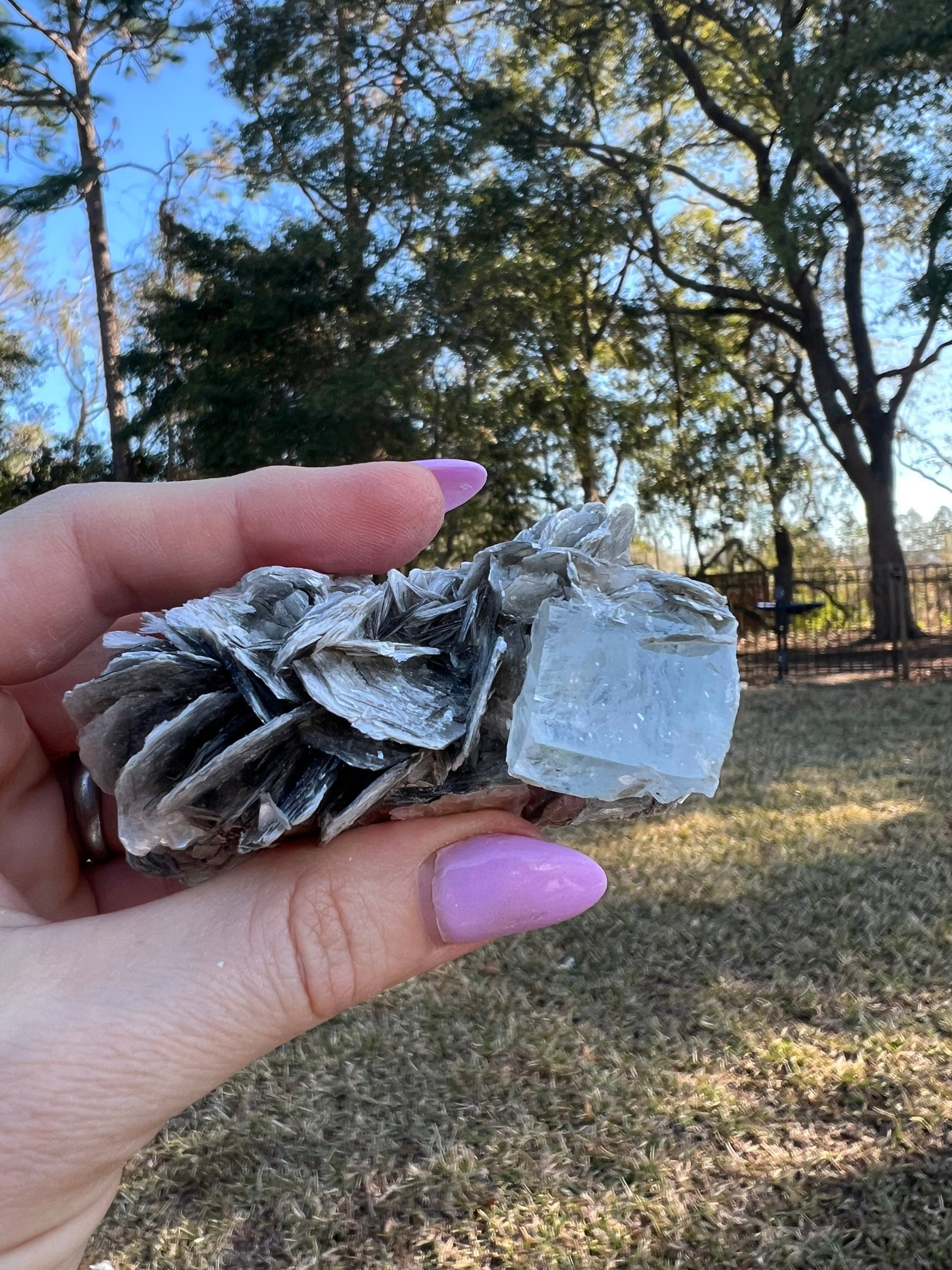 Aquamarine in Muscovite matrix cluster 136grams